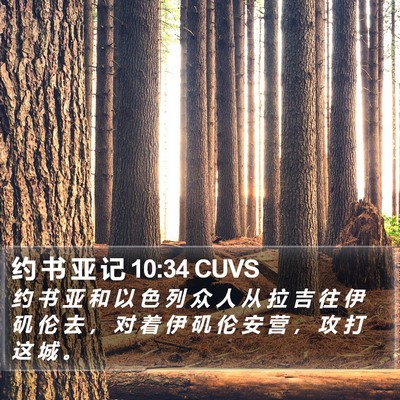 约 书 亚 记 10:34 CUVS Bible Verse Image