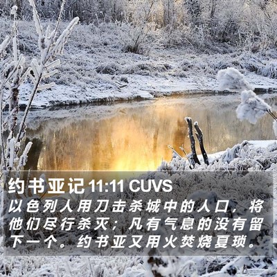 约 书 亚 记 11:11 CUVS Bible Verse Image