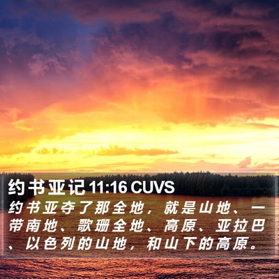 约 书 亚 记 11:16 CUVS Bible Verse Image