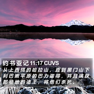 约 书 亚 记 11:17 CUVS Bible Verse Image