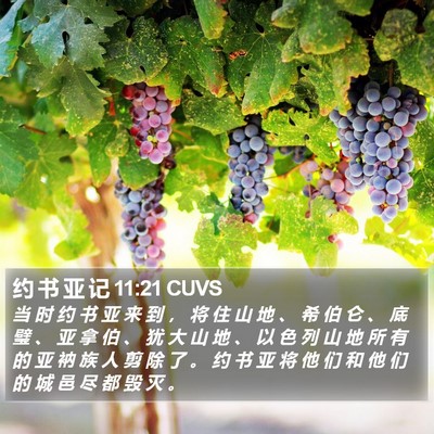 约 书 亚 记 11:21 CUVS Bible Verse Image