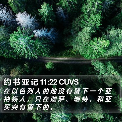 约 书 亚 记 11:22 CUVS Bible Verse Image