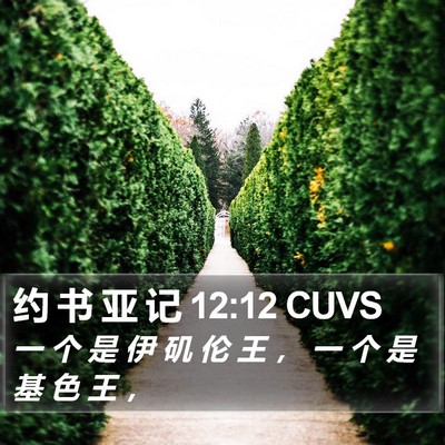 约 书 亚 记 12:12 CUVS Bible Verse Image