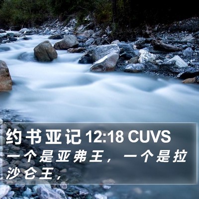 约 书 亚 记 12:18 CUVS Bible Verse Image