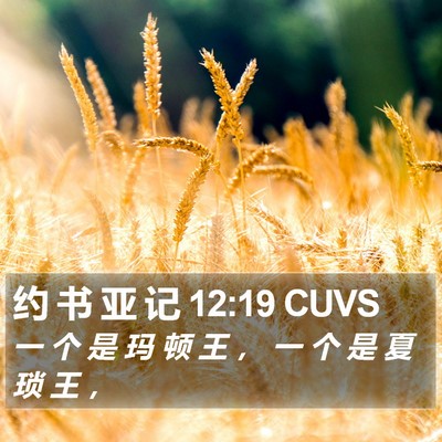 约 书 亚 记 12:19 CUVS Bible Verse Image