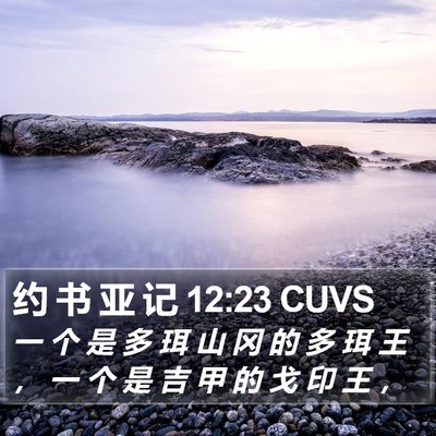 约 书 亚 记 12:23 CUVS Bible Verse Image