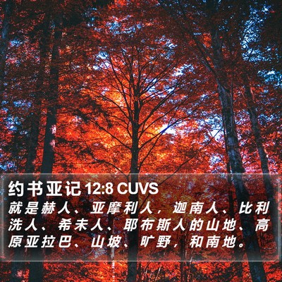 约 书 亚 记 12:8 CUVS Bible Verse Image