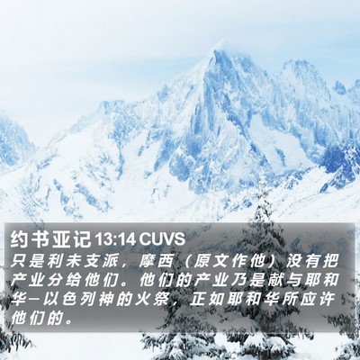 约 书 亚 记 13:14 CUVS Bible Verse Image