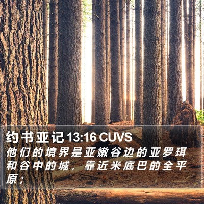 约 书 亚 记 13:16 CUVS Bible Verse Image