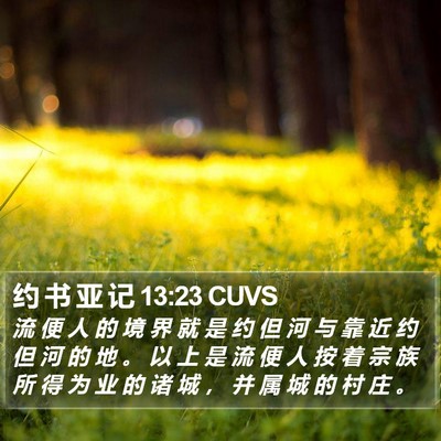 约 书 亚 记 13:23 CUVS Bible Verse Image