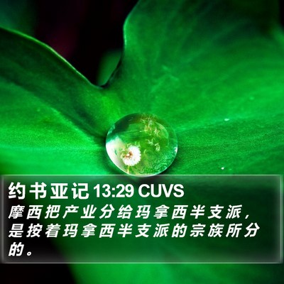 约 书 亚 记 13:29 CUVS Bible Verse Image