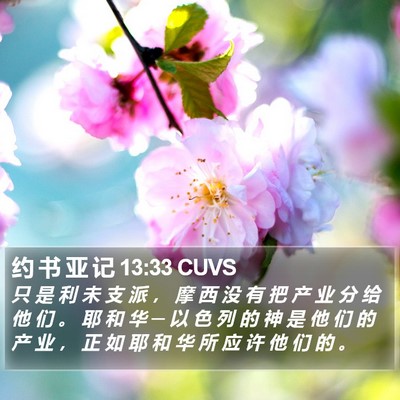 约 书 亚 记 13:33 CUVS Bible Verse Image