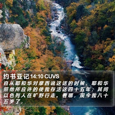 约 书 亚 记 14:10 CUVS Bible Verse Image