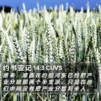 约 书 亚 记 14:3 CUVS Bible Verse Image