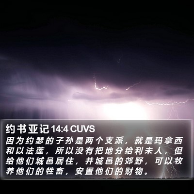 约 书 亚 记 14:4 CUVS Bible Verse Image