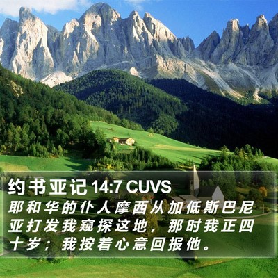约 书 亚 记 14:7 CUVS Bible Verse Image