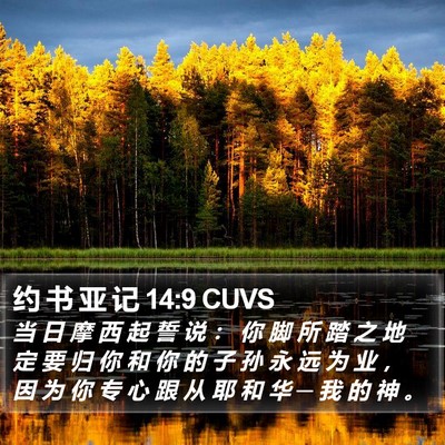 约 书 亚 记 14:9 CUVS Bible Verse Image