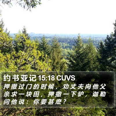 约 书 亚 记 15:18 CUVS Bible Verse Image