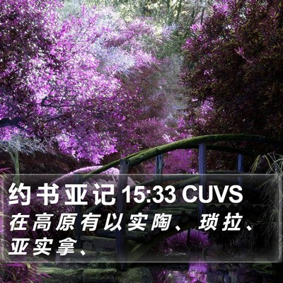 约 书 亚 记 15:33 CUVS Bible Verse Image
