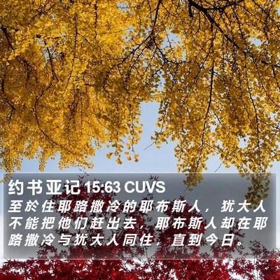 约 书 亚 记 15:63 CUVS Bible Verse Image