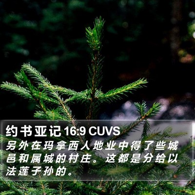 约 书 亚 记 16:9 CUVS Bible Verse Image