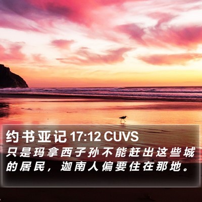 约 书 亚 记 17:12 CUVS Bible Verse Image