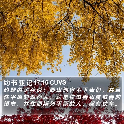 约 书 亚 记 17:16 CUVS Bible Verse Image