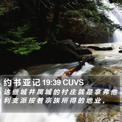 约 书 亚 记 19:39 CUVS Bible Verse Image