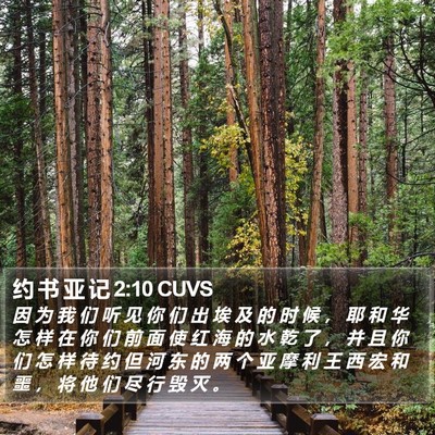 约 书 亚 记 2:10 CUVS Bible Verse Image