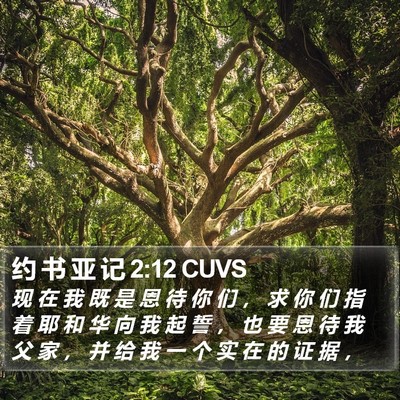 约 书 亚 记 2:12 CUVS Bible Verse Image