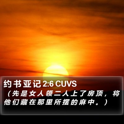 约 书 亚 记 2:6 CUVS Bible Verse Image