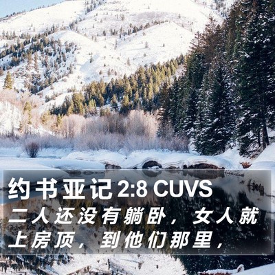 约 书 亚 记 2:8 CUVS Bible Verse Image