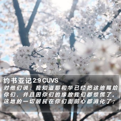 约 书 亚 记 2:9 CUVS Bible Verse Image