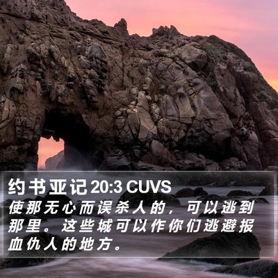 约 书 亚 记 20:3 CUVS Bible Verse Image