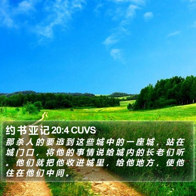 约 书 亚 记 20:4 CUVS Bible Verse Image