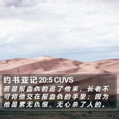 约 书 亚 记 20:5 CUVS Bible Verse Image