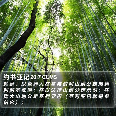 约 书 亚 记 20:7 CUVS Bible Verse Image