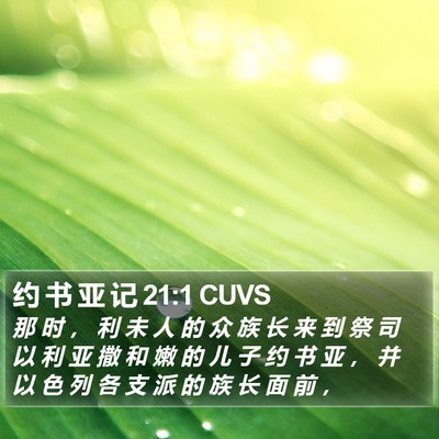 约 书 亚 记 21:1 CUVS Bible Verse Image