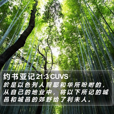 约 书 亚 记 21:3 CUVS Bible Verse Image