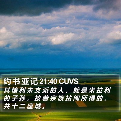 约 书 亚 记 21:40 CUVS Bible Verse Image