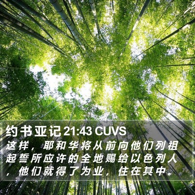 约 书 亚 记 21:43 CUVS Bible Verse Image