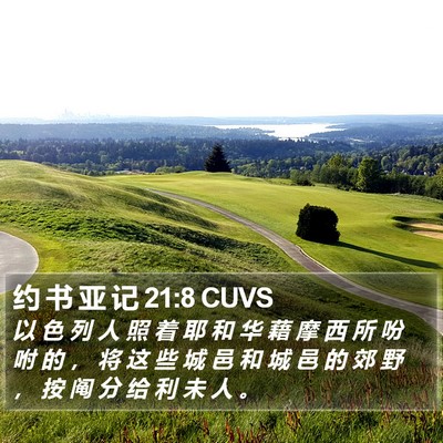 约 书 亚 记 21:8 CUVS Bible Verse Image