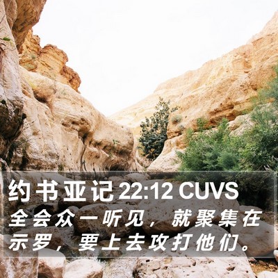 约 书 亚 记 22:12 CUVS Bible Verse Image