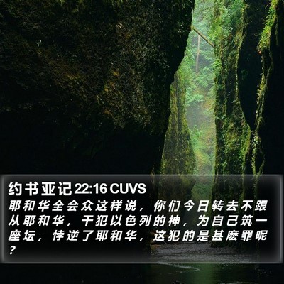 约 书 亚 记 22:16 CUVS Bible Verse Image