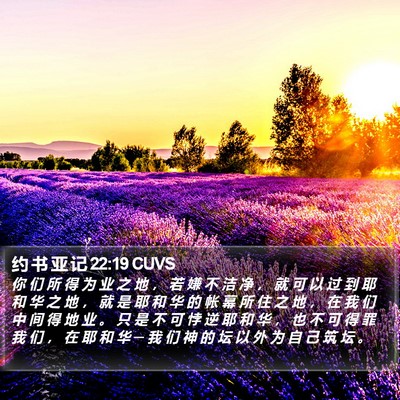 约 书 亚 记 22:19 CUVS Bible Verse Image