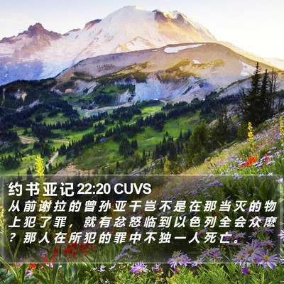 约 书 亚 记 22:20 CUVS Bible Verse Image
