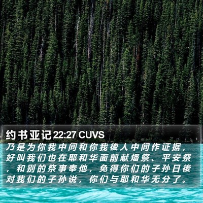 约 书 亚 记 22:27 CUVS Bible Verse Image