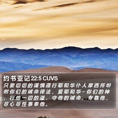 约 书 亚 记 22:5 CUVS Bible Verse Image