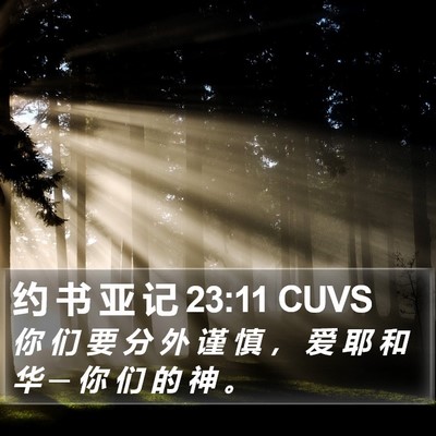 约 书 亚 记 23:11 CUVS Bible Verse Image