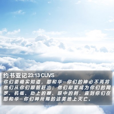 约 书 亚 记 23:13 CUVS Bible Verse Image